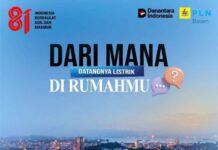 PLN Batam Jelaskan Perjalanan Listrik dari Pembangkit hingga ke Rumah