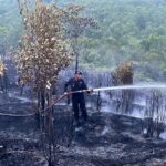 Brimob Polda Kepri Padamkan Kebakaran Lahan di Tiwangkang, Api Berhasil Dikendalikan