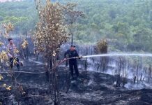 Brimob Polda Kepri Padamkan Kebakaran Lahan di Tiwangkang, Api Berhasil Dikendalikan