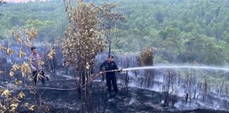 Brimob Polda Kepri Padamkan Kebakaran Lahan di Tiwangkang, Api Berhasil Dikendalikan