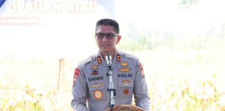 Panen Raya Jagung di Galang, Polda Kepri Perkuat Ketahanan Pangan Bersama Petani