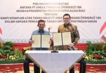 Pemprov Kepri dan ANTAM Bersinergi Perkuat Fasilitas Publik di Taman Kota Kijang
